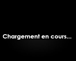 Chargement, veuillez patienter...